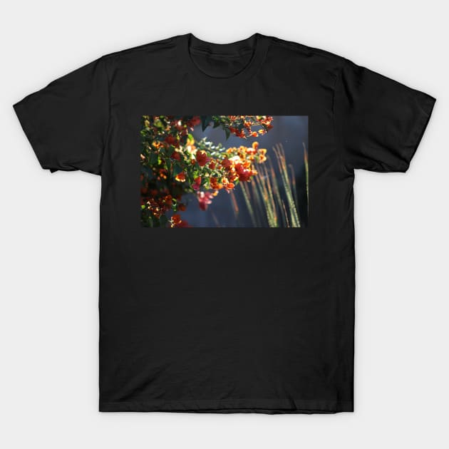 Salmon Bougainvillea in Sunlight Landscape T-Shirt by ButterflyInTheAttic